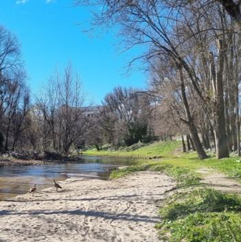 Recuperación del ecosistema fluvial Manzanares - Gavia - Bulera.